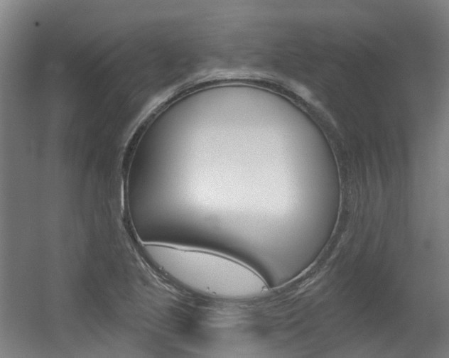 X0000056311221200508260816