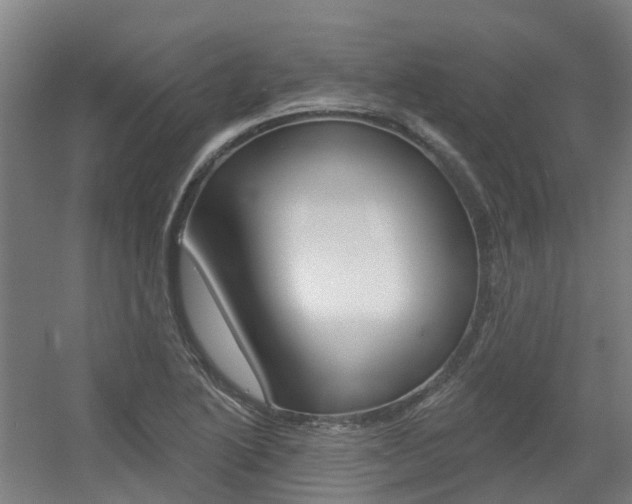 X0000056311222200508260816