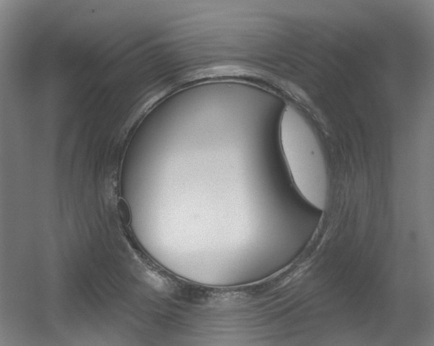 X0000056311225200508260816