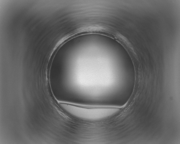 X0000056311226200508260816