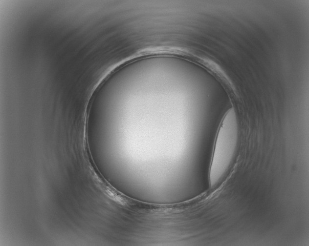 X0000056311228200508260816