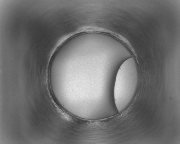X0000056311231200508260816