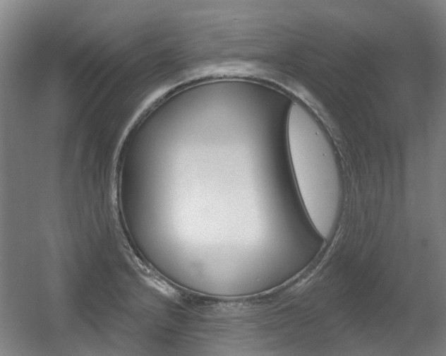 X0000056311232200508260816