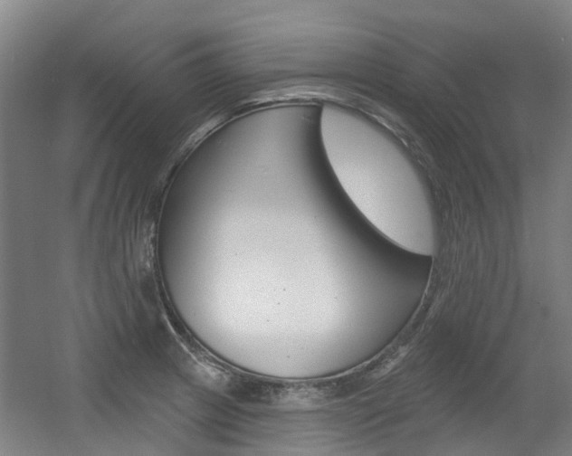 X0000056311233200508260816