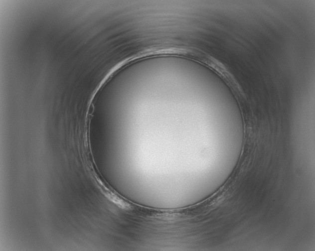 X0000056311236200508260816