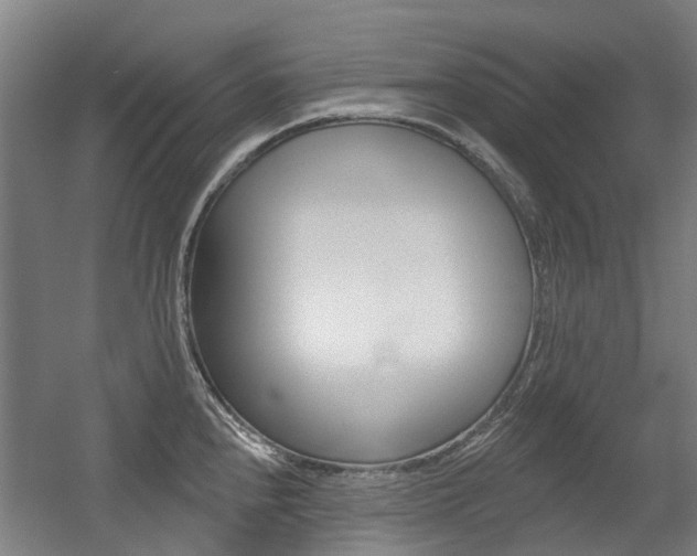 X0000056311240200508260816