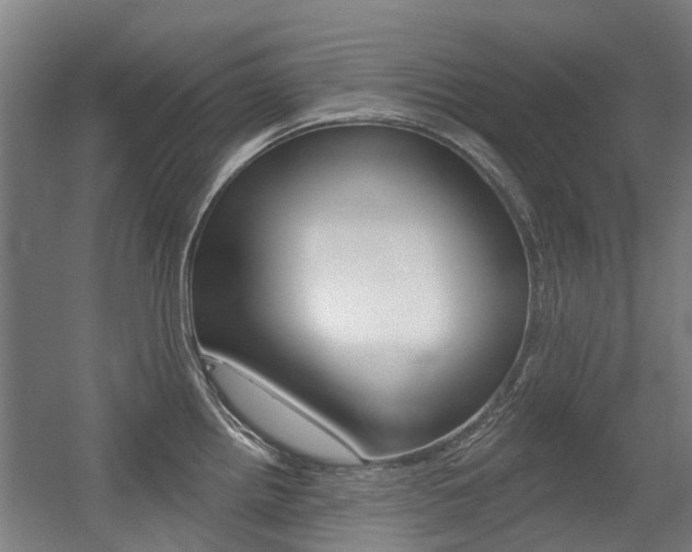 X0000056311242200508260816