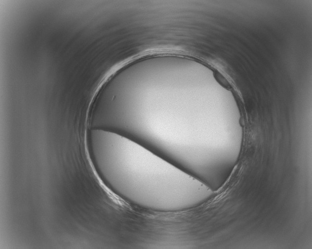 X0000056311245200508260816