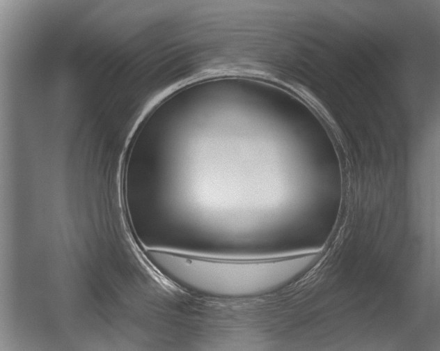 X0000056311246200508260816