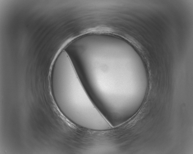 X0000056311248200508260816