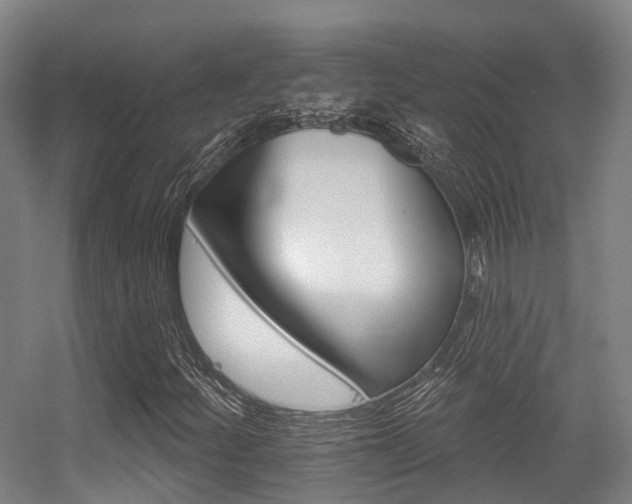 X0000056311252200508260816