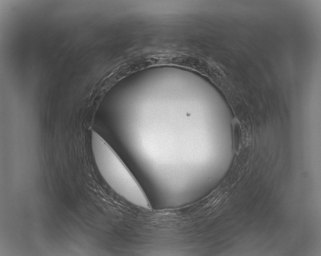 X0000056311253200508260816