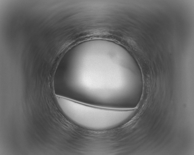 X0000056311257200508260815