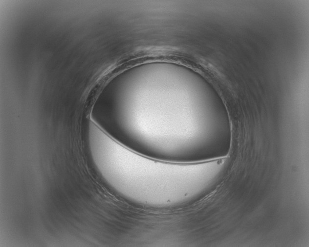 X0000056311261200508260815