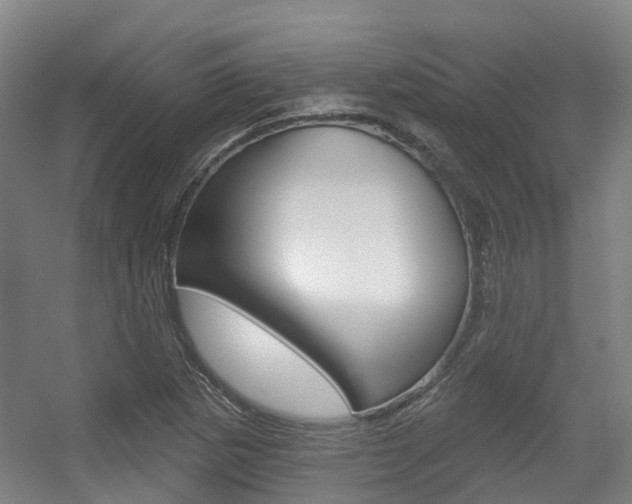 X0000056311265200508260815