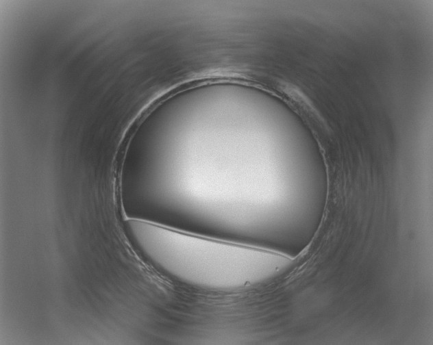X0000056311268200508260815