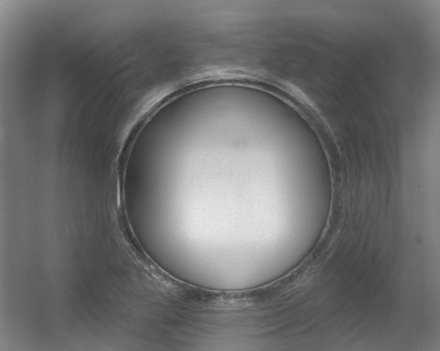 X0000056311269200508260815