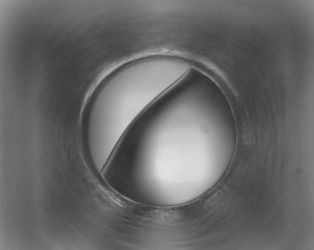 X0000056311270200508260815