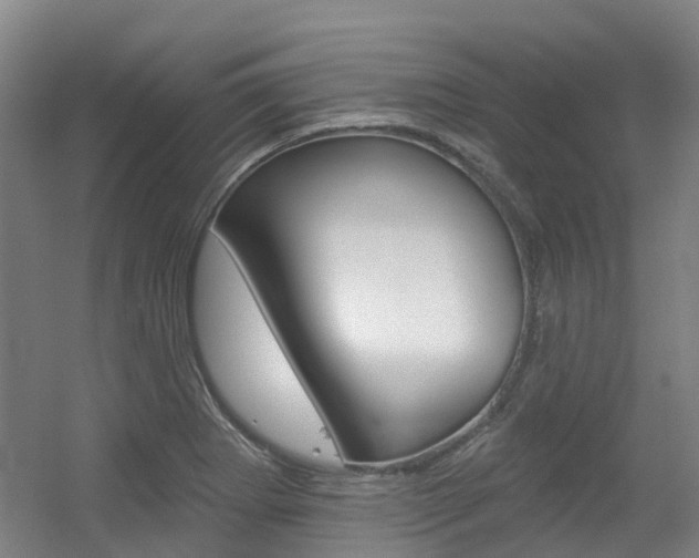 X0000056311273200508260815