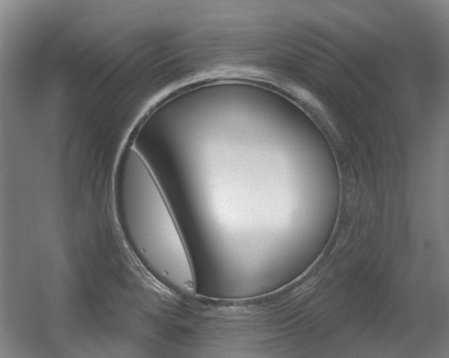 X0000056311280200508260815