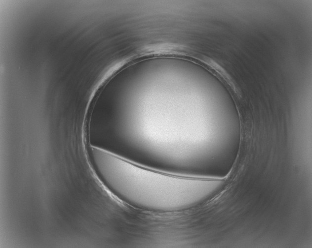 X0000056311285200508260815