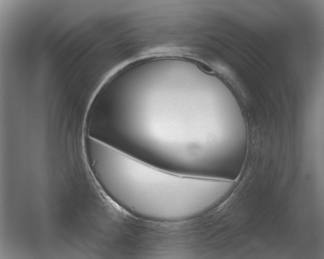 X0000056311288200508260815