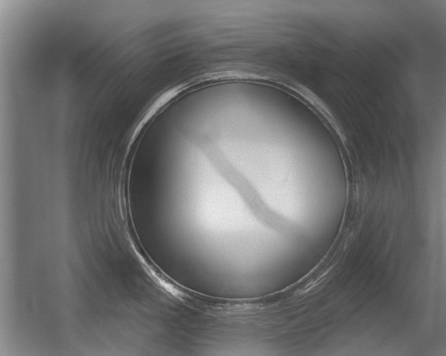 X0000056311293200508260815