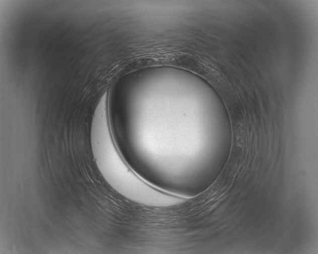 X0000056311298200508260814