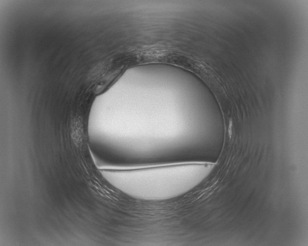X0000056311299200508260814