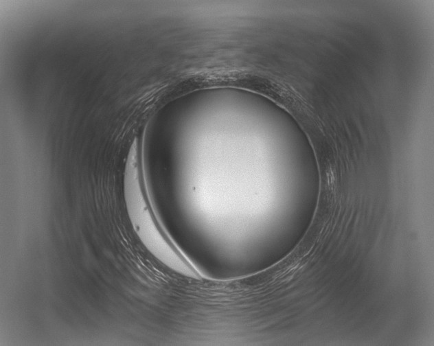 X0000056311300200508260814