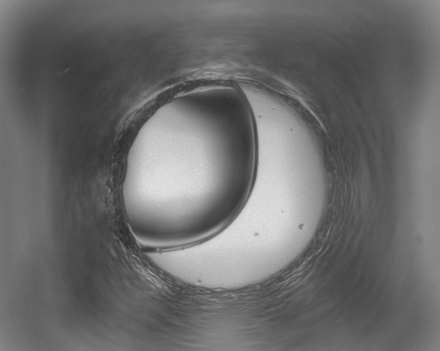 X0000056311304200508260814