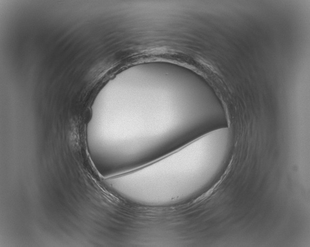 X0000056311305200508260814