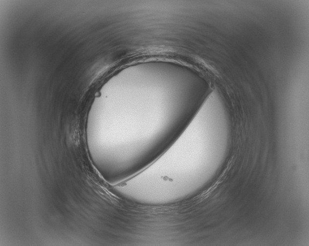 X0000056311306200508260814
