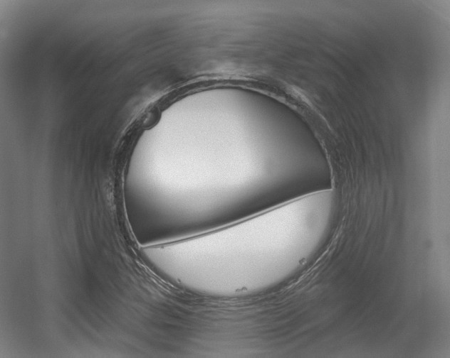 X0000056311307200508260814