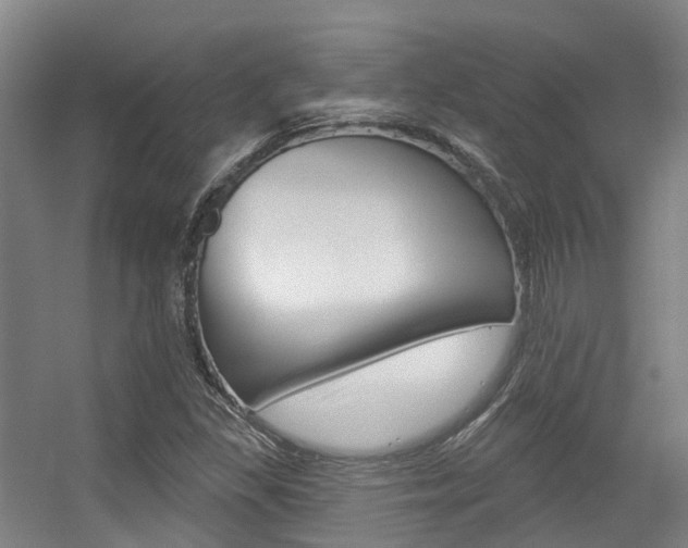 X0000056311309200508260814