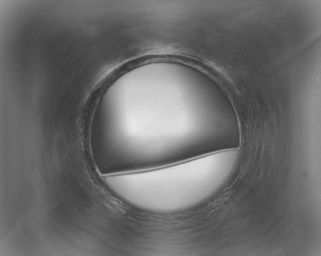 X0000056311311200508260814