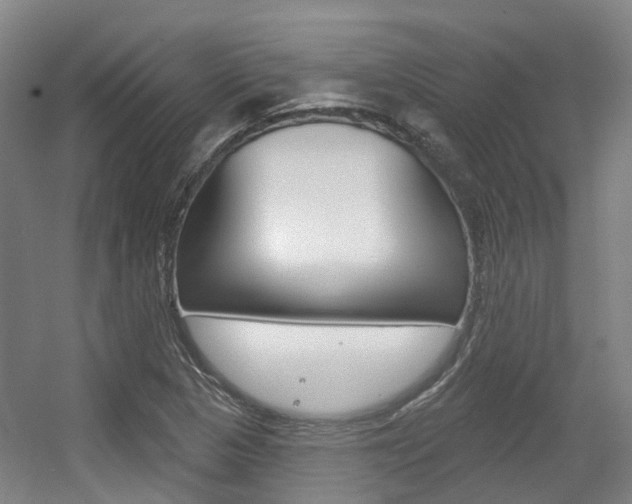 X0000056311313200508260814