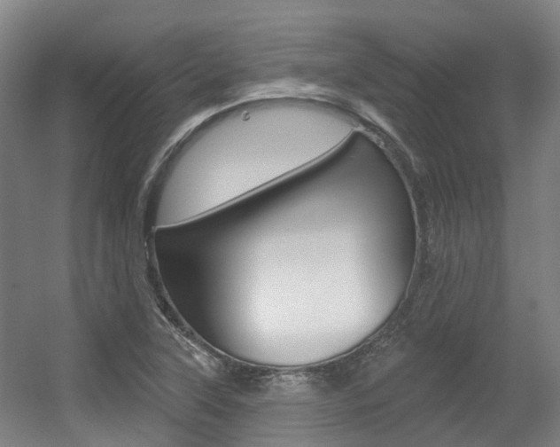 X0000056311315200508260814