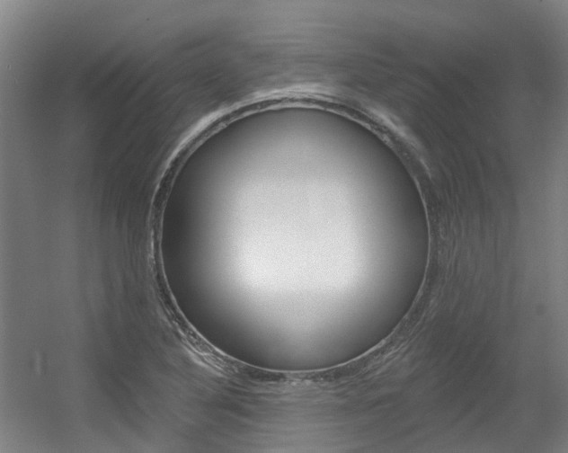 X0000056311316200508260814