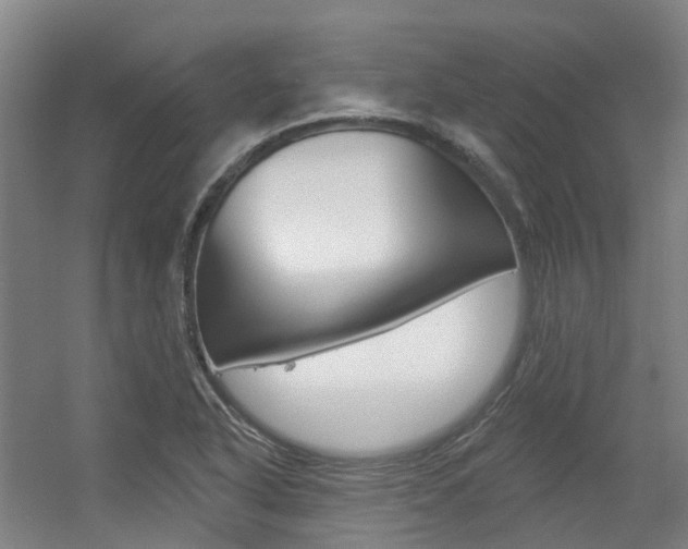 X0000056311318200508260814