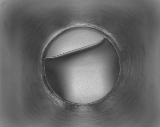 X0000056311319200508260814