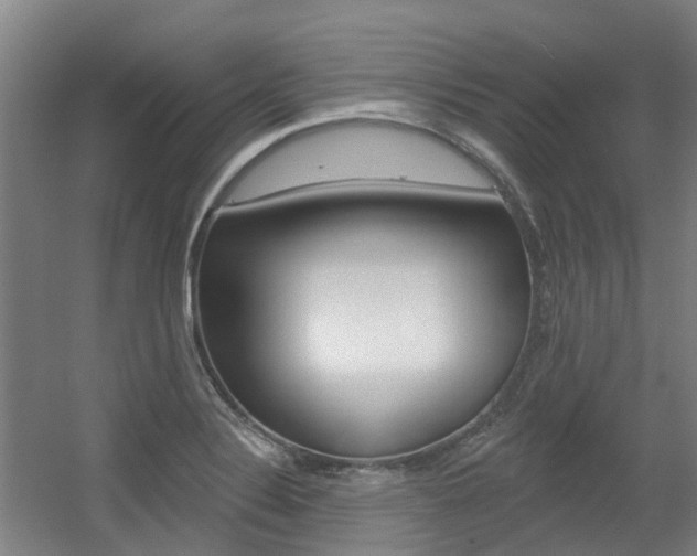 X0000056311324200508260814
