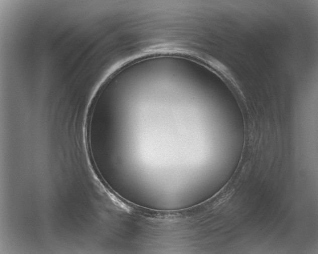 X0000056311334200508260815