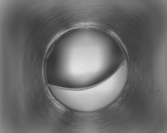 X0000056311336200508260815