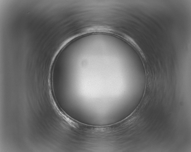 X0000056311339200508260815