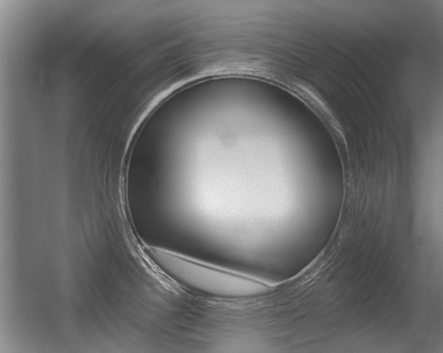 X0000056311340200508260815