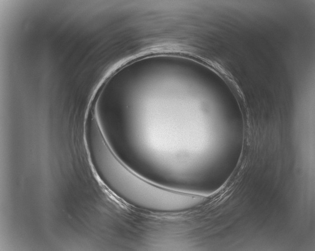 X0000056311342200508260815