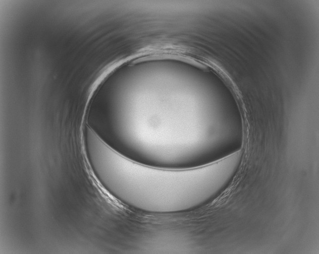 X0000056311344200508260815