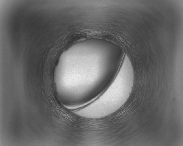 X0000056311345200508260814