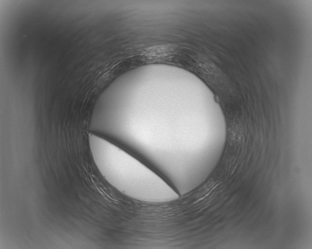 X0000056311346200508260814